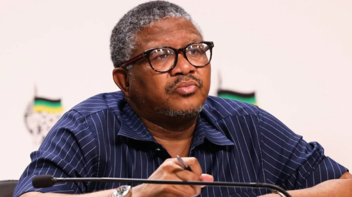 DA Calls For Fikile Mbalula To Be Jailed For Contempt Of Court - The Times Post
