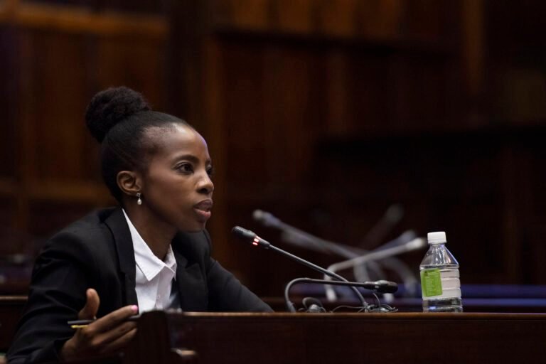 Parliament Will Vote On Kholeka Gcaleka's Appointment As Public Protector - The Times Post