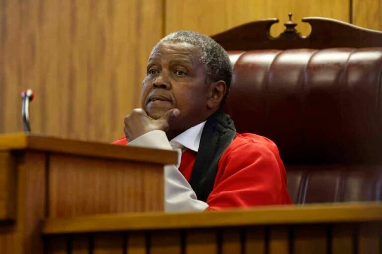 'I'm Not An Idiot,' Said Judge In Senzo Meyiwa Trial After A 'Pulling Trigger' Gesture - The Times Post