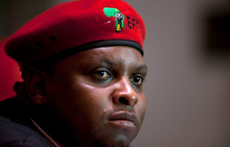 EFF Deputy President Floyd Shivambu Failed To Disclose Payments From VBS Bank - The Times Post