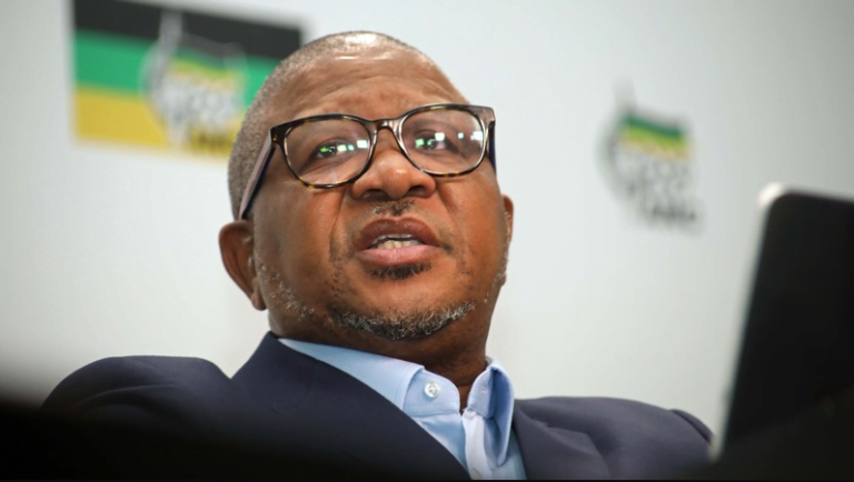 Fikile Mbalula Blames Ace Magashule For Free State Corruption - The Times Post