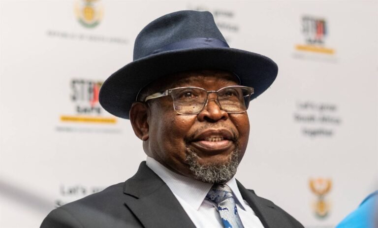 Politics Cannot Hinder BRICS' Plans For A New Economic Agenda, Says Godongwana - The Times Post