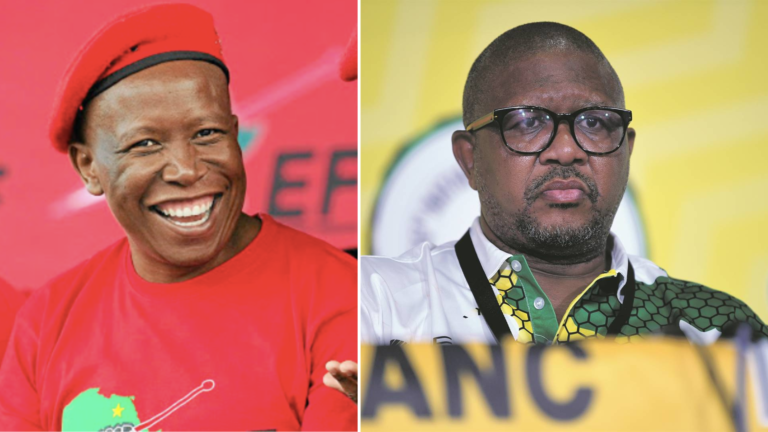 Malema Takes A Swipe At Mbalula "ANC Must Give You Enough Time To Speak At Birthday Rally" - The Times Post - The Times Post