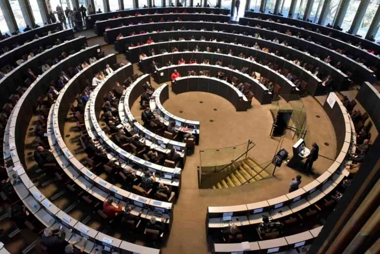 Chaos Erupts At Johannesburg Council Meeting Over Mention Of Nelson Mandela By DA Official - The Times Post