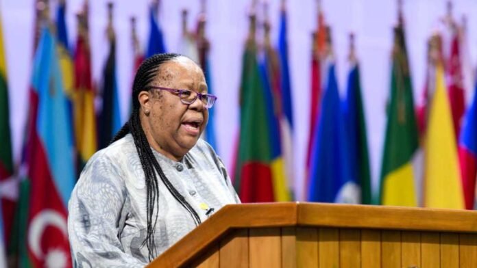 Naledi Pandor 01 Pandor Travels To The Hague To Hear ICJ Ruling On SA Vs Israel Case - The Times Post