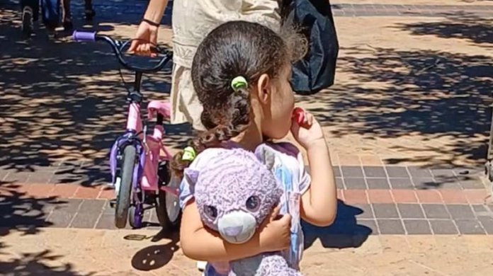 Cape Town Family Pledge To Reward Anyone Who Find Their Missing Teddy - The Times Post