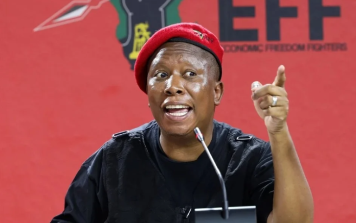 Ipsos Poll Suggests EFF Could Overtake DA As Official Opposition - The Times Post