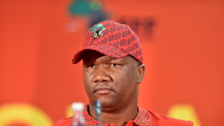 EFF Secretary-General, Marshall Dlamini Found Guilty Of Assault - The Times Post