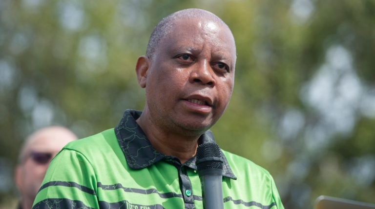 ActionSA Wants To Remove Joburg Coalition Amid Helen Zille Tough Stance - The The Times Post