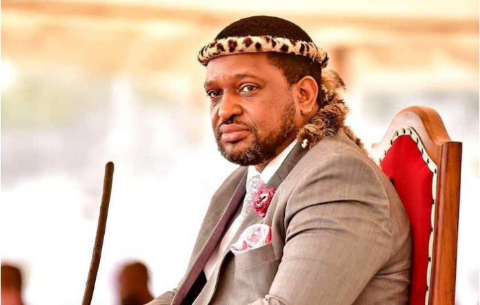Legal And Political Manoeuvers To Challenge King Misuzulu Kazwelithini's Reign-SurgeZirc SA