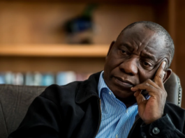 Seven Theories Why Cyril Ramaphosa Is Losing And What He Could Do Seven Theories On Why Cyril Ramaphosa Is Losing (And What He Should Do About It-TimesPost
