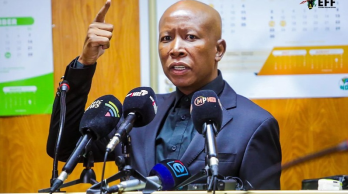 Malema Closing Arguments In Julius Malema's Gun Trial Scheduled For November - The Times Post
