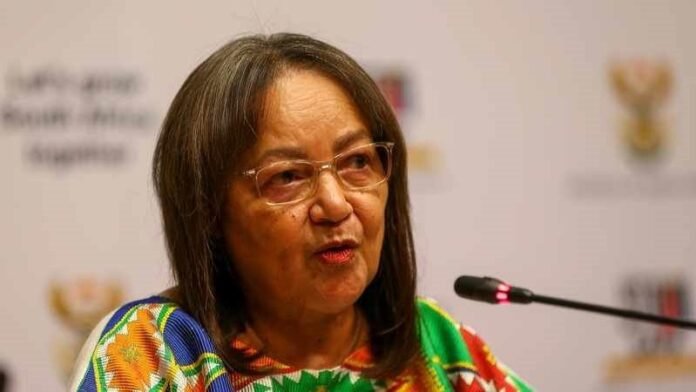 De Lille Calls For Urgent Meeting With New Public Works Minister Amidst R300 Million Probe - The Times Post