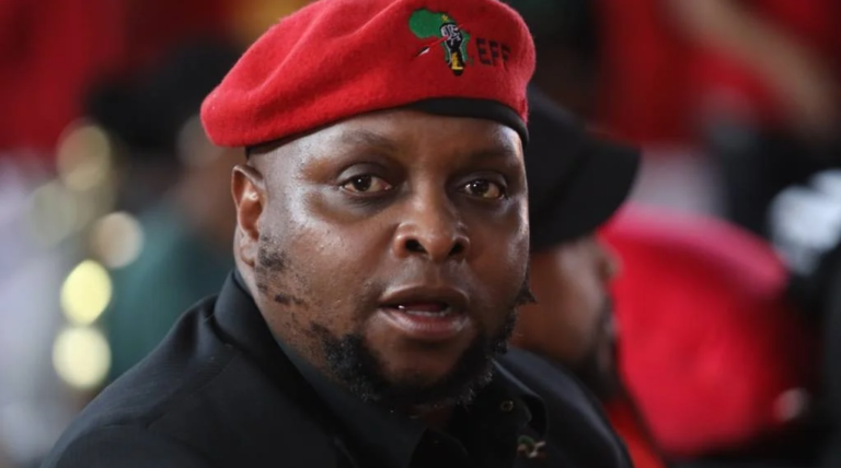 Floyd Shivambu, Deputy President Of EFF To Resign From Party - The Times Post