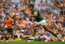 South Africa Defeats Australia As Rugby Championship Begins South Africa Defeats Australia As Rugby Championship Begins - The Times Post