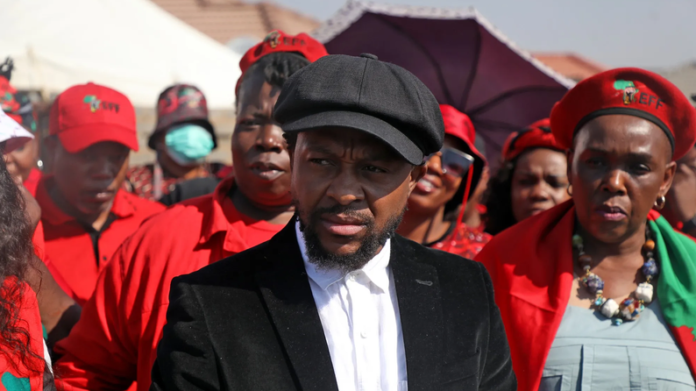 Calls Mount For Mbuyiseni Ndlozi To Exit EFF Amid Malema's Dominant Leadership - The Times Post