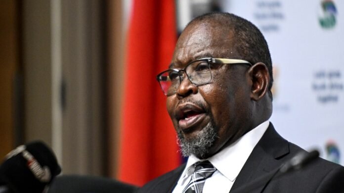 Enoch Godongwana To Hold Crucial Discussions With GNU Partners On Proposed VAT Hike - The Times Post