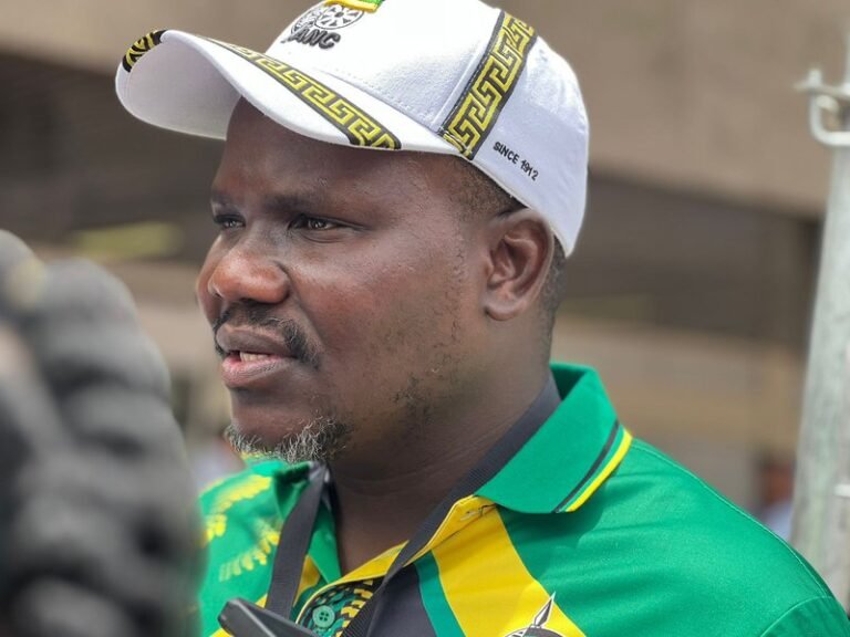 ANC’s Ntuli Supports Ramaphosa's Envoys To Clarify South Africa’s Foreign Policy And Expropriation Laws - The Times Post