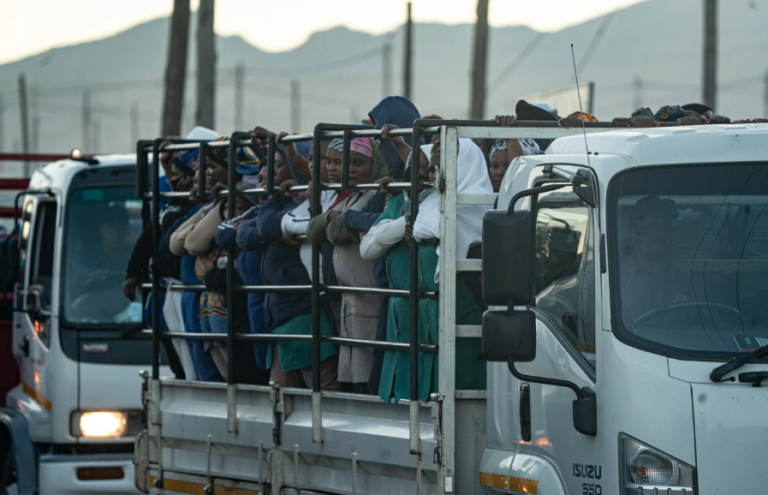 Farmworkers In South Africa Demand Fair Wages And Rights For Women - The Times Post