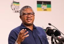 Mbalula Accuses DA Of Politicizing VAT Increase In Parliament Mbalula Accuses DA Of Politicizing VAT Increase In Parliament - The Times Post