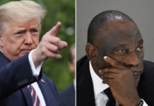 Trump Slams Tariffs On South African Goods, Impacting Trade, Exports, And Jobs Trump Slams Tariffs On South African Goods, Impacting Trade, Exports, And Jobs - The Times Post