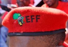 EFF Celebrates 12th Anniversary In Khayelitsha Amid Leadership Shifts And Political Headwinds EFF Celebrates 12th Anniversary In Khayelitsha Amid Leadership Shifts And Political Headwinds - The Times Post