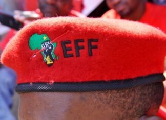 EFF Celebrates 12th Anniversary In Khayelitsha Amid Leadership Shifts And Political Headwinds EFF Celebrates 12th Anniversary In Khayelitsha Amid Leadership Shifts And Political Headwinds - The Times Post