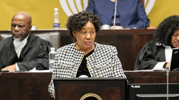 Angie Motshekga Cape Sea Route Traffic Surge Makes Maritime Security Critical For South Africa, Says Motshekga - The Times Post