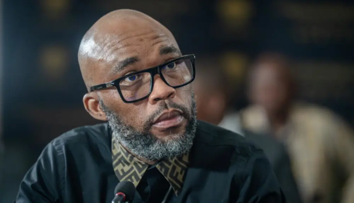 Cat Matlala Plea Deal Talks Could Expose ‘Big Fish’ In R228 Million SAPS Tender Fraud Case - The Times Post
