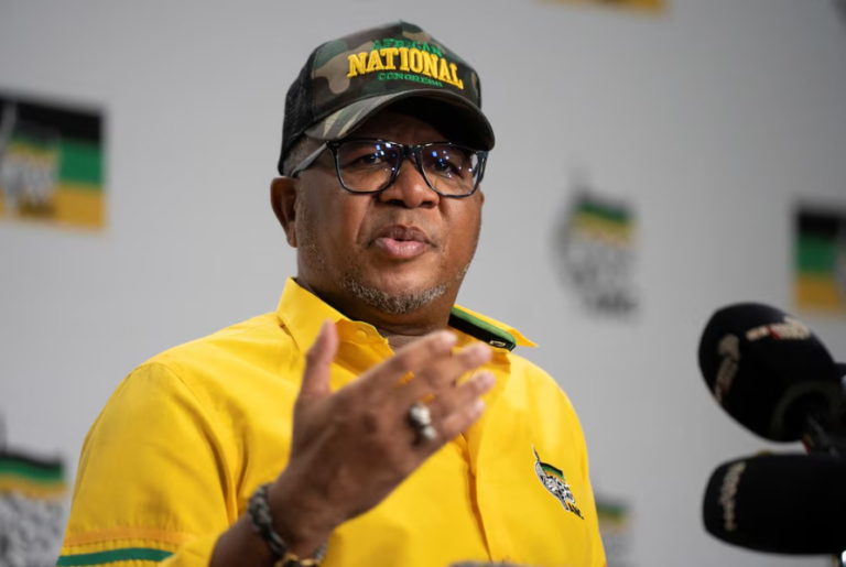 ANC Calls For Anti-Illegal Immigration Protesters To Act Within The Law - The Times Post