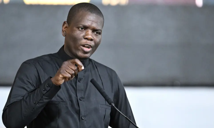 Lamola Ronald Lamola Urges African Nations To Show Restraint In Illegal Immigration Debate - The Times Post