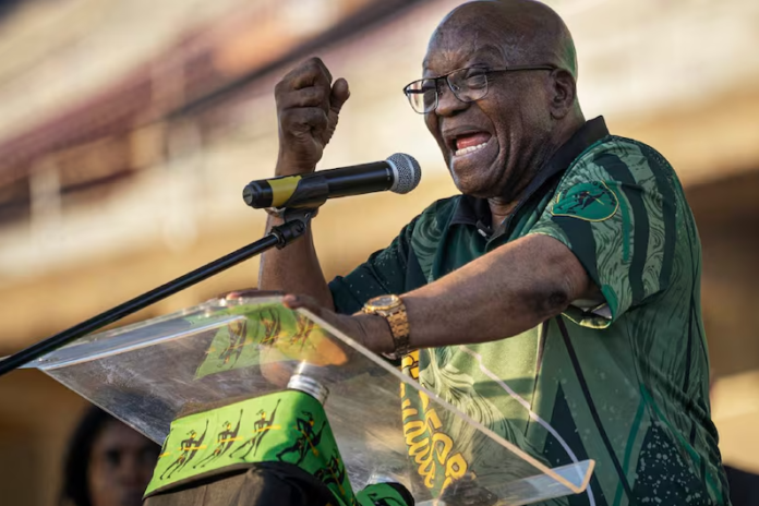 MK Party Calls For Kholeka Gcaleka To Be Removed As Public Protector - The Times Post