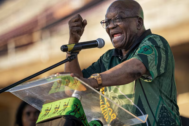 MK Party Calls For Kholeka Gcaleka To Be Removed As Public Protector - The Times Post