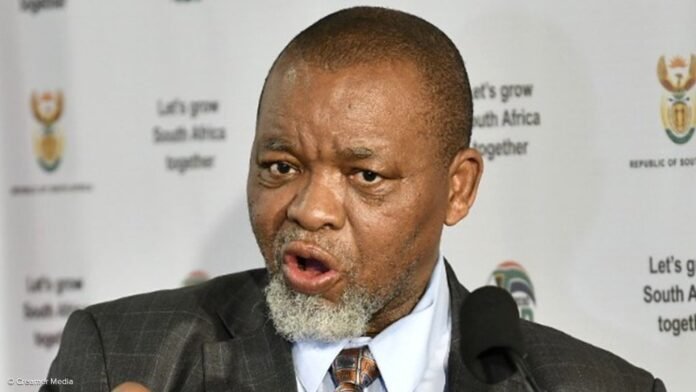 Mantashe Under Fire As Calls Grow To Fast-Track South Africa Fuel Price Reform - The Times Post