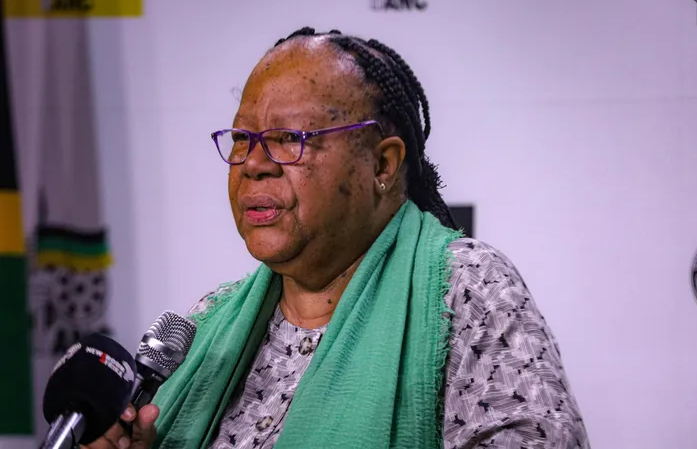 Naledi Pandor Naledi Pandor Robbed At Gunpoint During Tshwane Housebreak-In - The Times Post