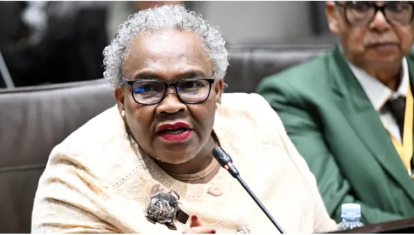 Sisisi Tolashe Parliament Says Sisisi Tolashe Investigations Will Continue Despite Dismissal - The Times Post
