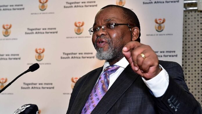 Mineral Resources Minister Gwede Mantashe Gwede Mantashe Urges Caution As South Africa Prepares For Cleaner Fuels Transition - The Times Post