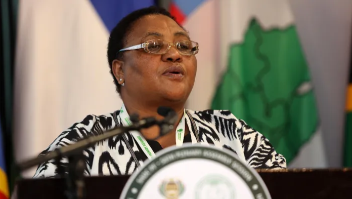 Thoko Didiza Thoko Didiza Weighs Ramaphosa Bid To Halt Impeachment Proceedings - The Times Post