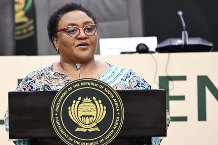 Thoko Didiza Section 89 Impeachment Rules Delayed As Didiza Orders Further Talks On Key Disputes - The Times Post