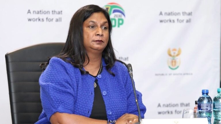 Johnson Tells Madlanga Inquiry She Cannot Submit Outstanding IDAC Documents After Resignation - The Times Post