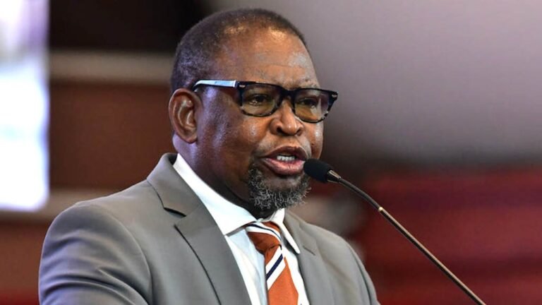 National Treasury To Release R7.1 Billion Withheld Municipal Equitable Share To Safeguard Basic Services - The Times Post