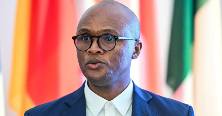 Solly Malatsi Denies Claims Tony Leon Influenced Starlink Meeting-The Times Post