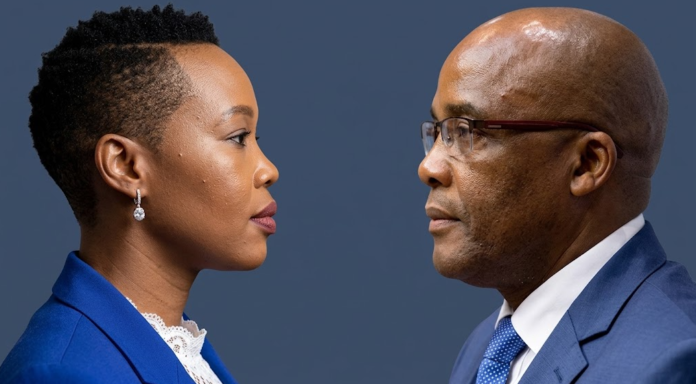 Aroon Stella Ndabeni-Abrahams Appointed Acting Health Minister As Motsoaledi Remains On Sick Leave