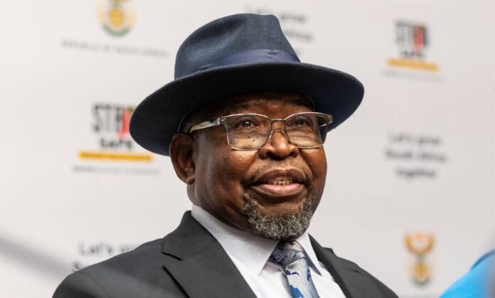 Enoch Godongwana Treasury Plans R10 Billion Fuel Price Buffer To Shield South Africans From Oil Market Volatility - The Times Post