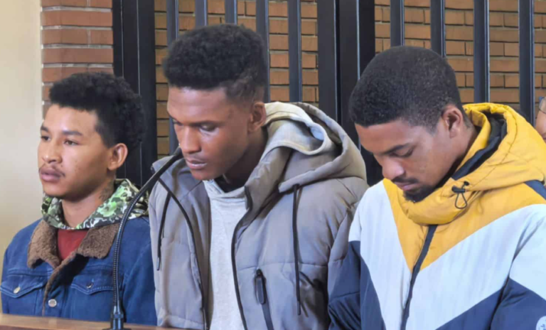 Reiger Park Murder Accused Rely On Alibis In Bid For Bail