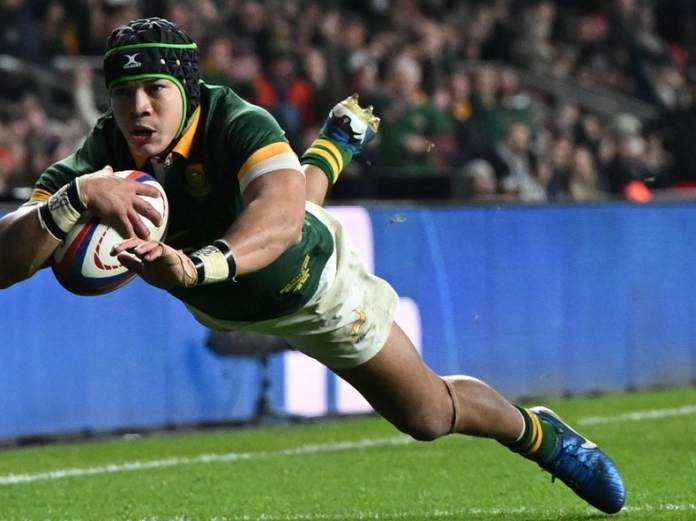 Springboks Level All Blacks Series As Rassie Erasmus’ Bold Gamble Pays Off In Cape Town