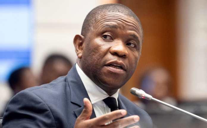 nhlabhla Nhlanhla Mkhwanazi Calls For Criminal Justice Officials To Be Vetted For Gang Links
