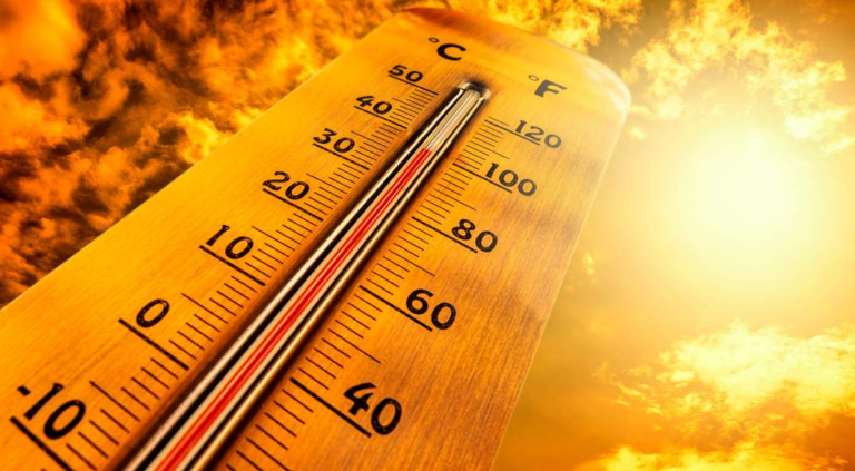 Strong El Niño Could Bring Drier Weather And Severe Heatwaves To South Africa This Summer